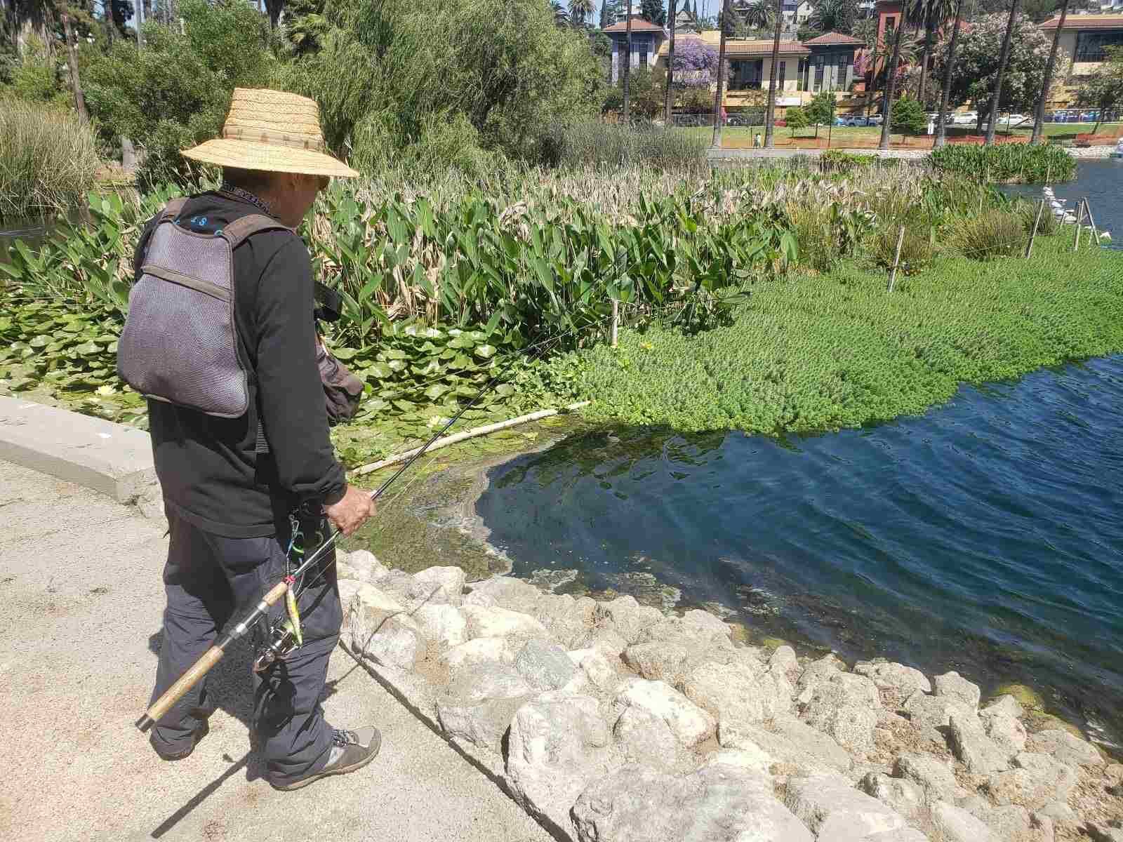 Fisherman at Echo Park Lake reopening